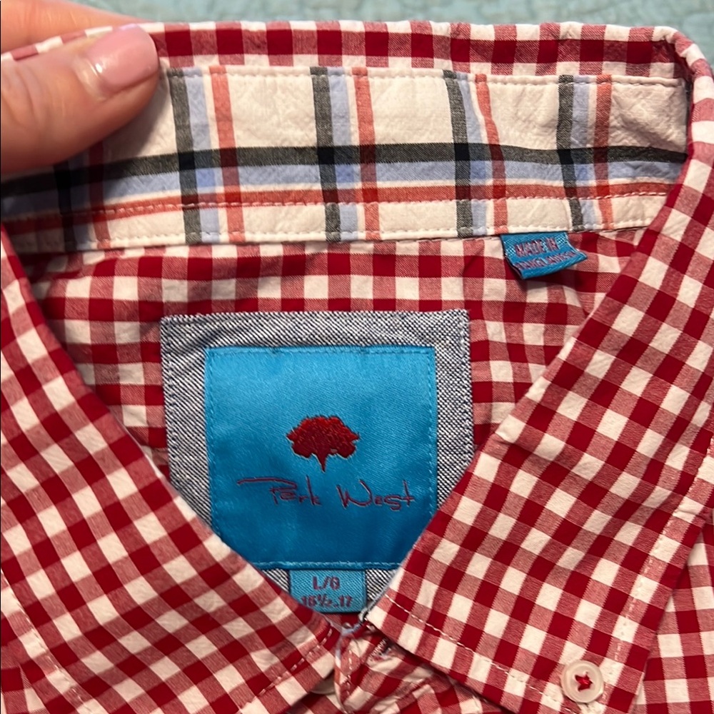 Men's Red Gingham Button-Down Shirt